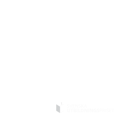 arets-samhallsinsats